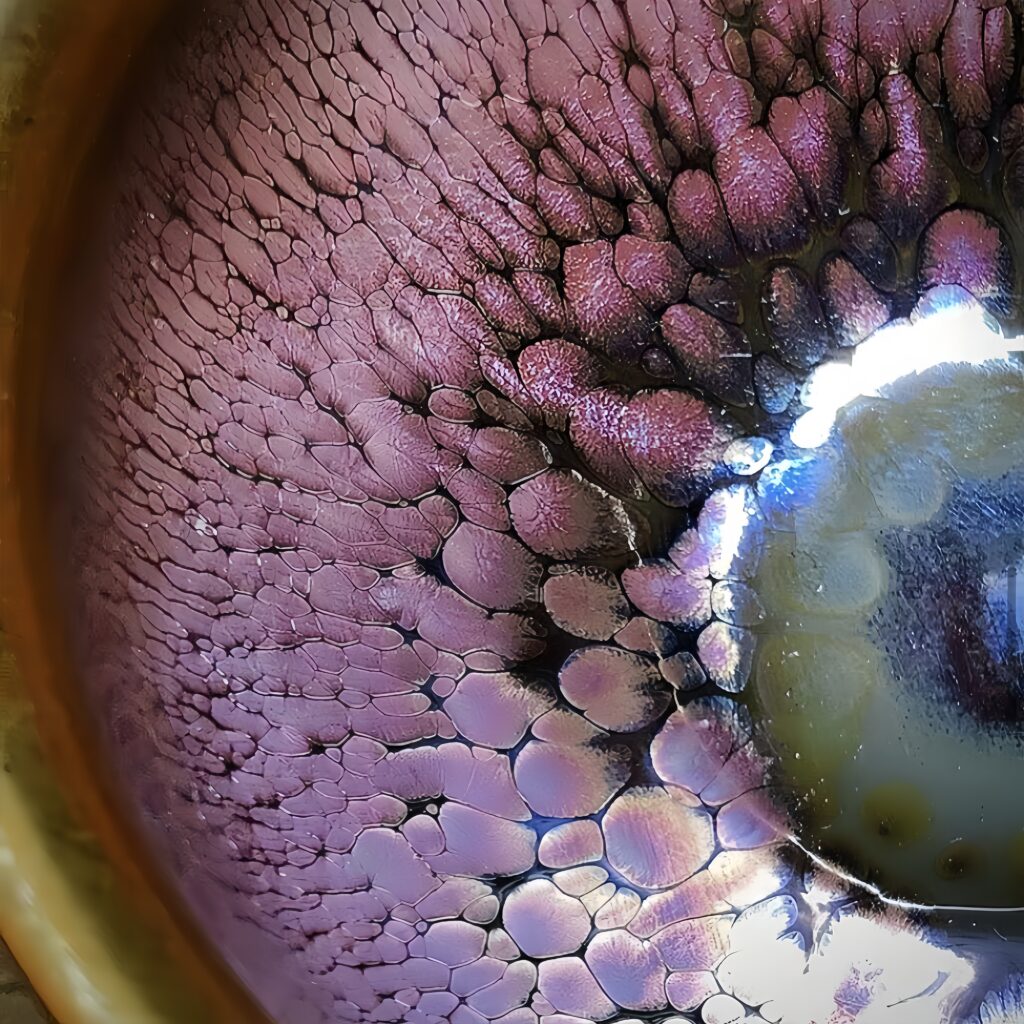 O1CN01F7hrDA2EQW9sUiNwY 2217633868739 0 cib 1